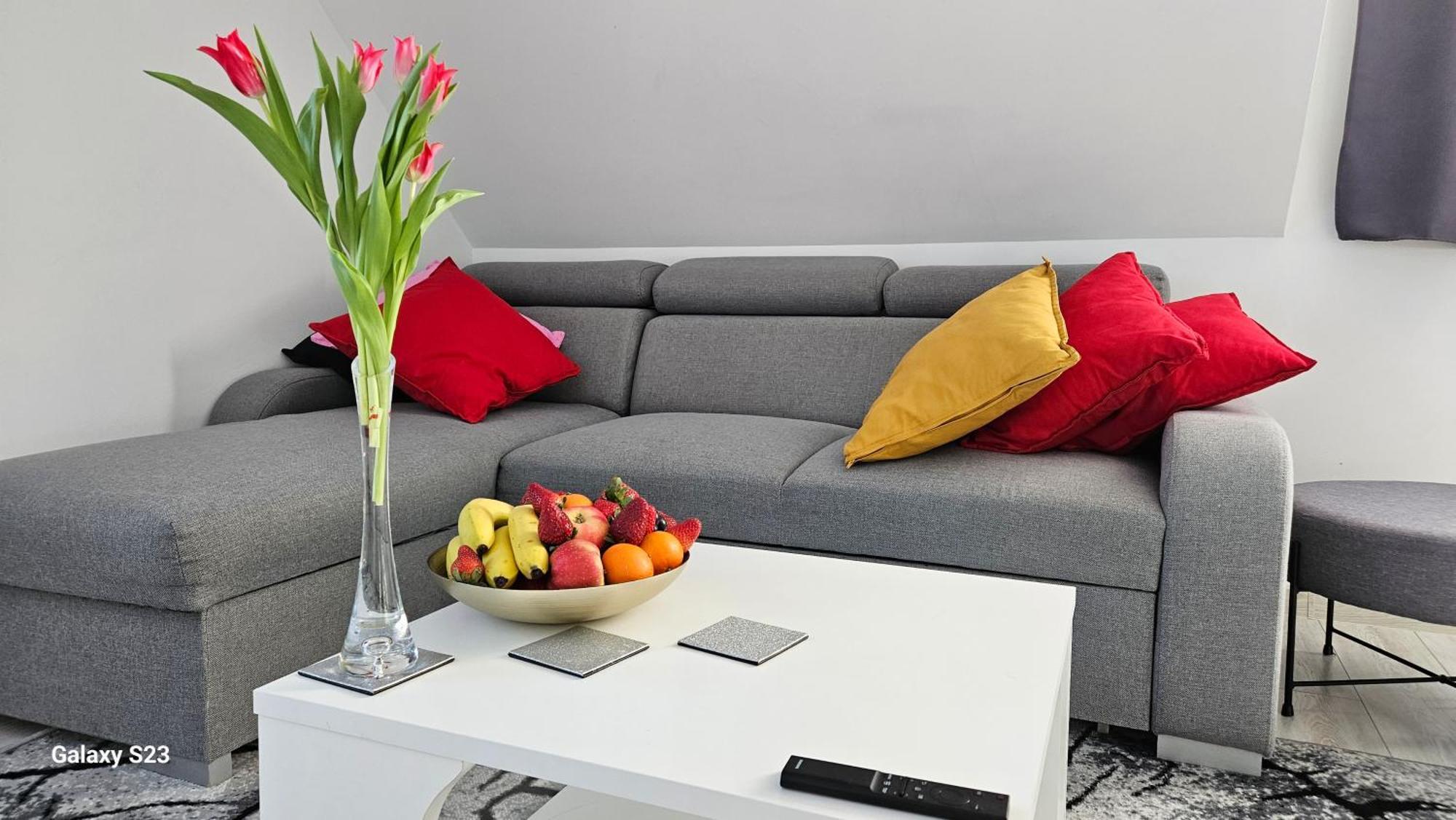 Wonderful Dream Z Widokiem Na Sniezke Apartament Karpacz
